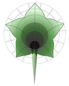 technical drawing of flower